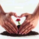 산과 자연의 쉼터 이미지