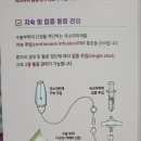 마미캐티 이미지