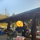 에이스수완공인중개사사무소 이미지