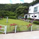 잣나무집정원 이미지