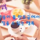 한모금 이미지