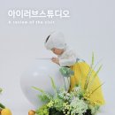사림동275 | 창원 돌사진관 아이러브스튜디오 아기 달항아리 컨셉 후기