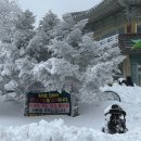 영실 1100고지 화장실 이미지