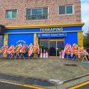 백돈 유성점 | 대전 수족관 테라핀즈 신규 오픈식 후기 테라핀 거북이 분양 전문샵 방문기