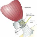 구안한의원 이미지