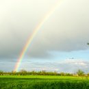 무지개 이미지