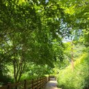 무극시장 이미지