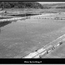 두산목장 이미지