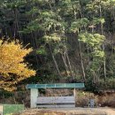 신중국식품worldfood | [Camping] 태안 백리포 오션뷰 캠핑장 추천: 프라이빗 비치가 있는 <바다와 파도소리> 캠핑장