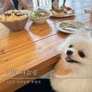 하늘콩(SKY BEAN)