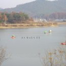 갈전지 이미지