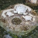 공원관리사무소 이미지