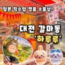 교촌치킨 화정2호점 | [하루루] 대전 갈마동소품샵 일본직수입 정품 소품샵 둔산동놀거리 추천 ,하루루 후기
