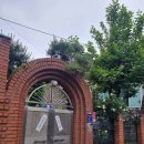 강남-235 이미지