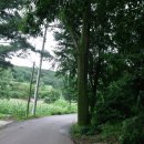 감악산주유소 이미지