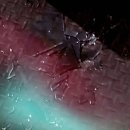 고덕 일반산업단지 | 시흥 매화일반산업단지 그을음제거 솔직 후기, 청소 서비스의 변화