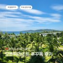 [베트남/푸꾸옥]여행 숙소 모벤픽 리조트 웨이브리 푸꾸옥 후기, 공항 무료셔틀 정보, 유료픽업신청방법,