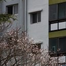 금호동 장미아파트 이미지