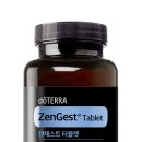 메타라이프 이미지