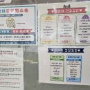 송림동물병원 이미지