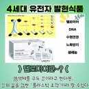 유니더팩
