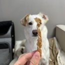 눈부시게 - 광산구 | 강아지 수제간식 고구마 닭가슴살말이 건조 만들기 눈부시게 망한 후기