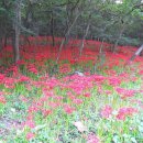 영광경찰서 앞 이미지