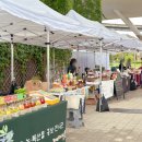 뚝섬한강공원-70 이미지