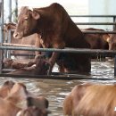 대구효령초등학교 이미지