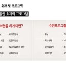여의도 멘토 태권도 교육관 이미지