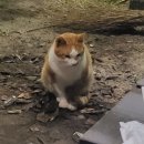 문암생태공원 캠핑장 이미지