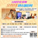 챌린지태권도장 이미지