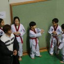 용인대태권나라 이미지