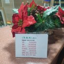 백암스프링스호텔 이미지