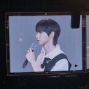 CRAZY PC | 덕질 일기 9 - 단돈 8만 원에 하룰라라 다녀오기