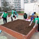 철산1동 행정복지센터 이미지