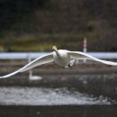 시간을 즐기다 이미지