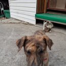 오남농장 이미지