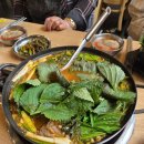 구수 염소농장 이미지