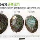 전복미가 이미지