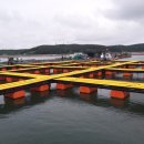 영목수산좌대 이미지