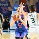 본능 바스켓코리아