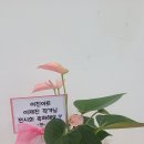 빛가람전망대 전시실 | 2025 전남문화재단 지역문화예술특성화예술활동지원 시각