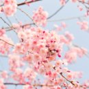 닥터모락 계양구청점 이미지