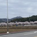 최가네삽교곱창 이미지