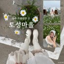 청주 가볼만한곳 토성마을 샤스타데이지 솔직 후기, 사진 꿀 팁