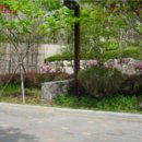 수정-136 이미지