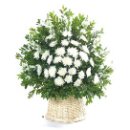 남양만로 이미지