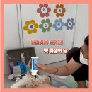 일리키독 이미지