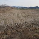 월천보건진료소 이미지